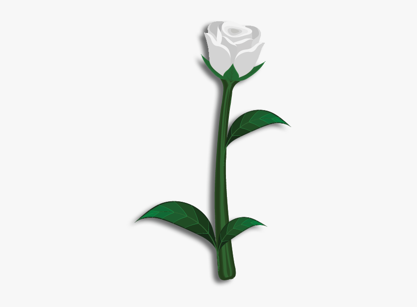 Rose, HD Png Download, Free Download