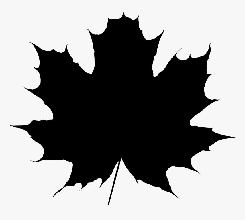 Maple Leaf Vector Graphics Royalty-free - Vector Maple Leaf Png, Transparent Png, Free Download