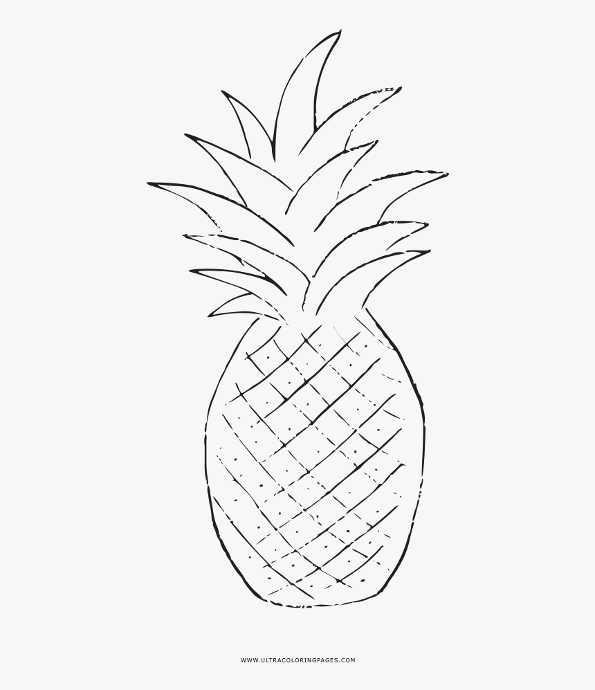 Pineapple Coloring Page - Line Art, HD Png Download, Free Download