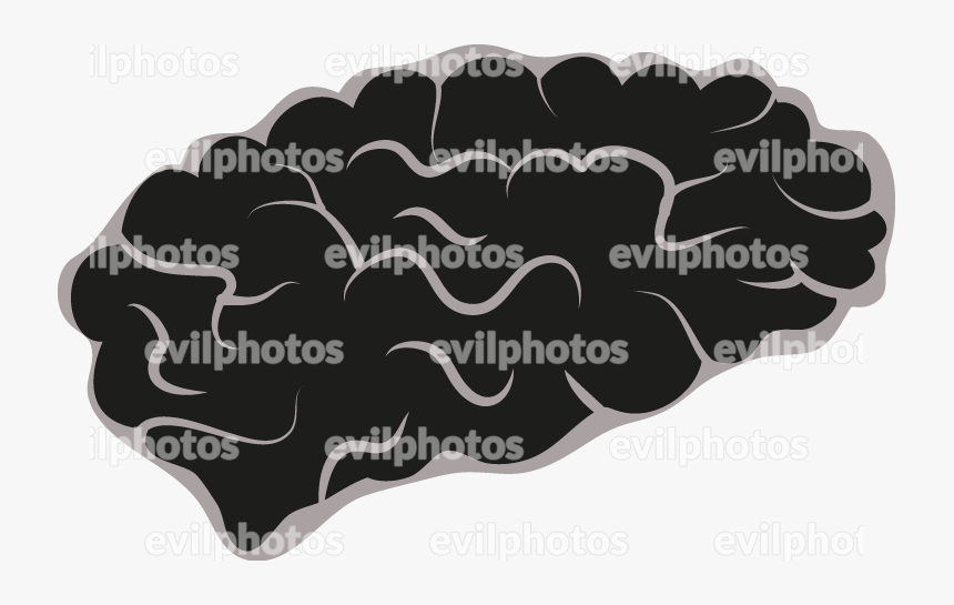 Brain Drawing Vector And Stock Photo - Label, HD Png Download, Free Download