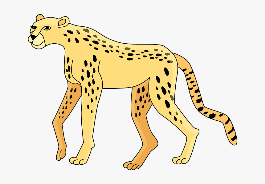 Cheetah Clipart, HD Png Download, Free Download