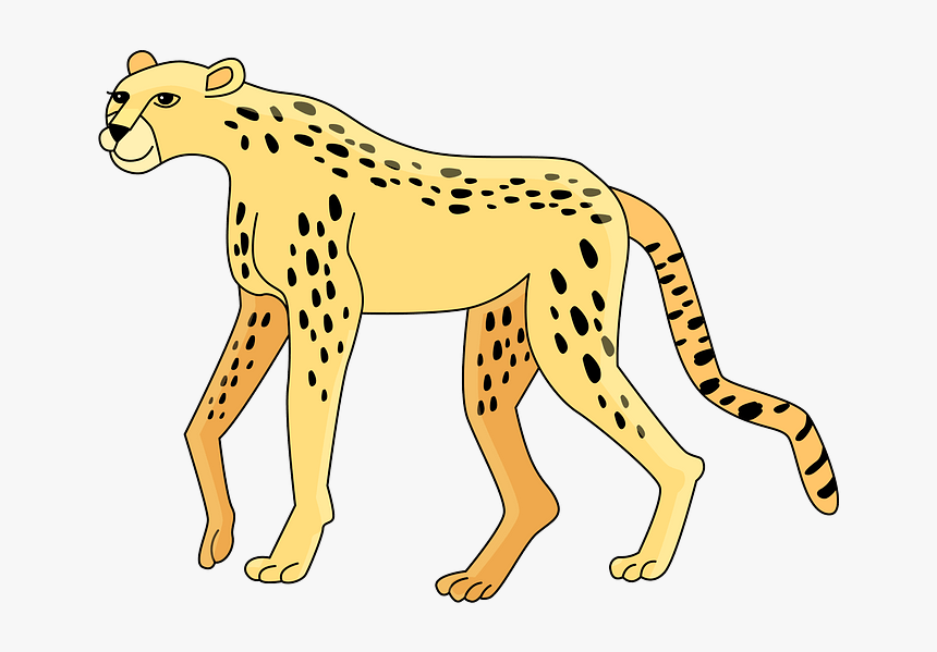 Cheetah Clipart, HD Png Download - kindpng