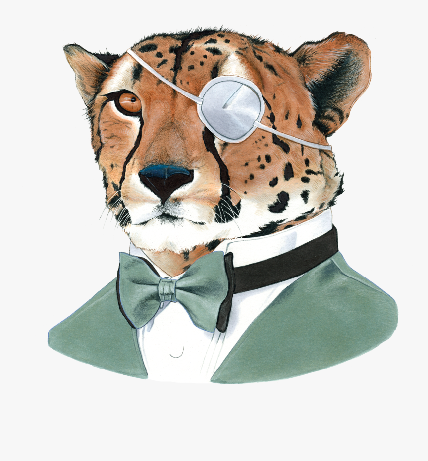 Cheetah Face Png, Transparent Png, Free Download