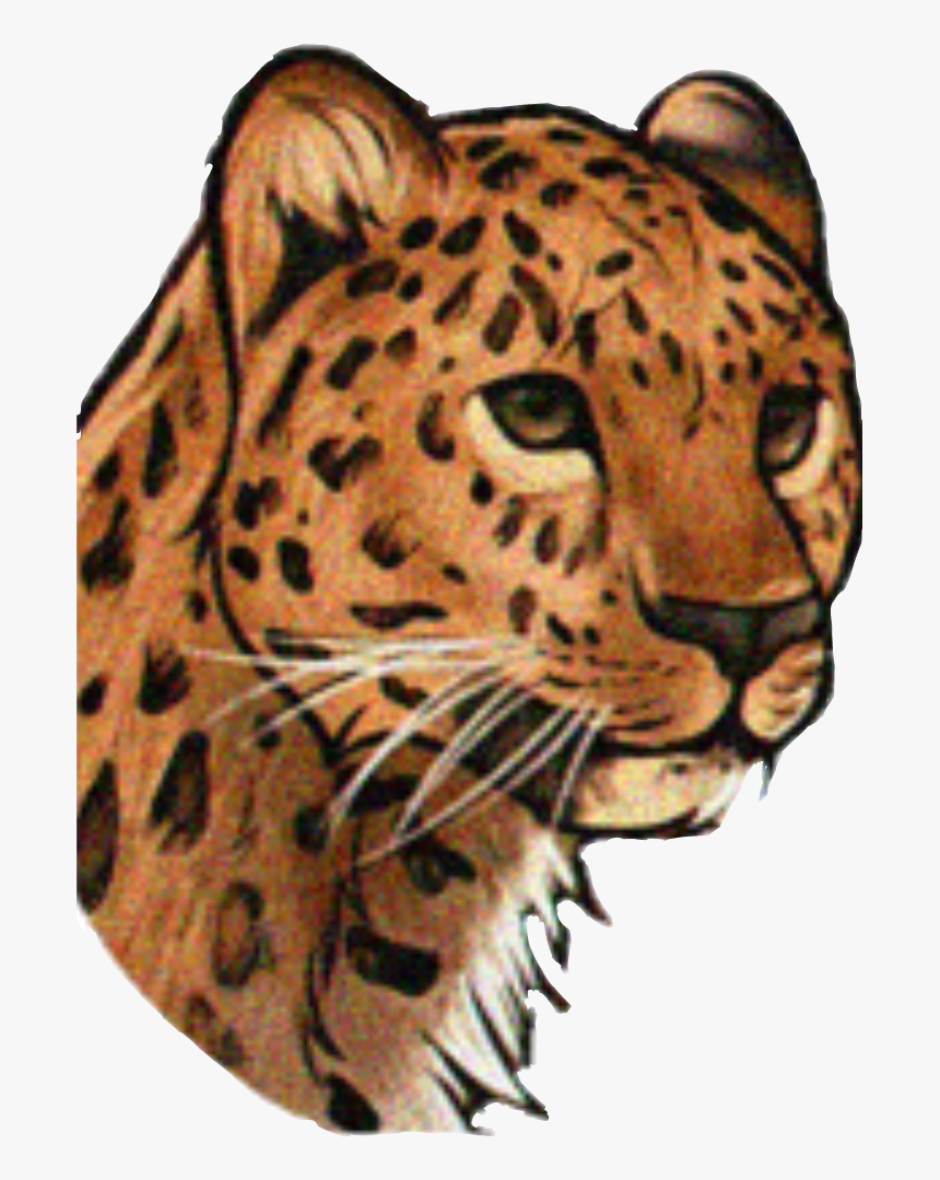 #cheetah - Realistic Leopard Face Drawings, HD Png Download, Free Download