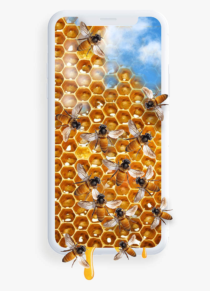 Loyaltopia More Mobile More Buzz - Honeycomb, HD Png Download, Free Download