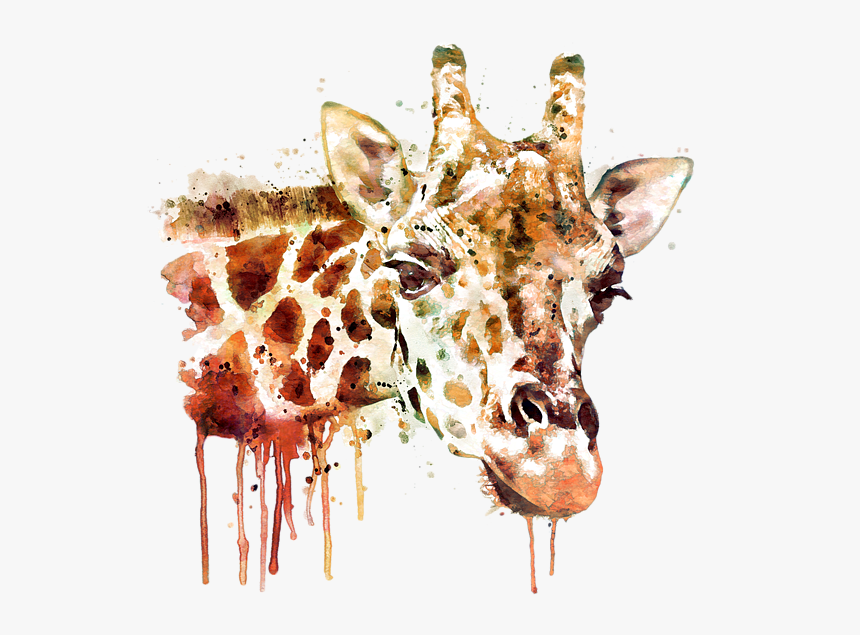 Watercolor Painting Of A Giraffe, HD Png Download, Free Download