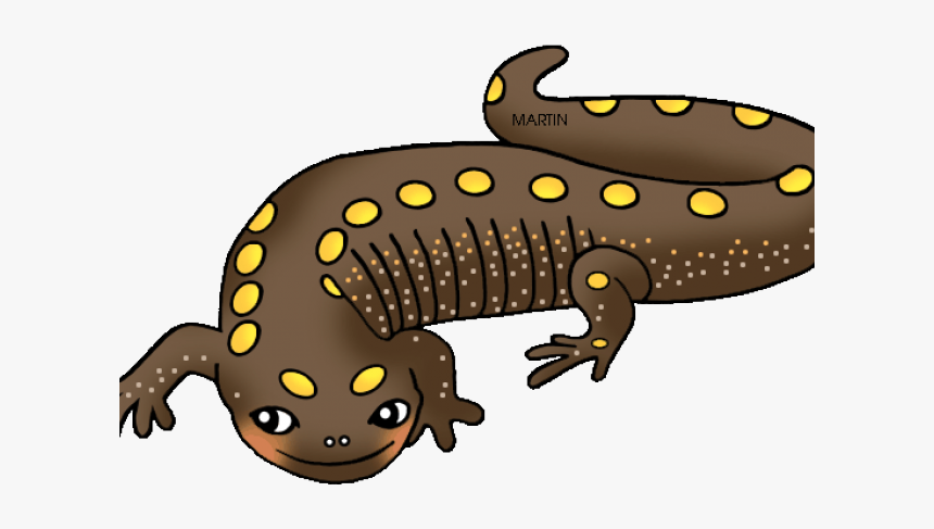 Amphibians Clipart, HD Png Download, Free Download