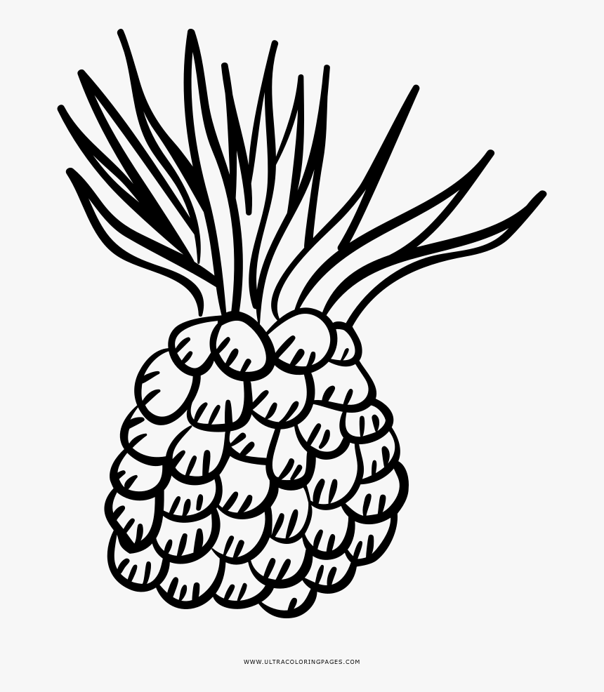 Pineapple Coloring Page, HD Png Download, Free Download