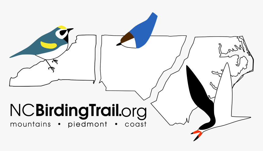 North Carolina Birding Trail, HD Png Download, Free Download