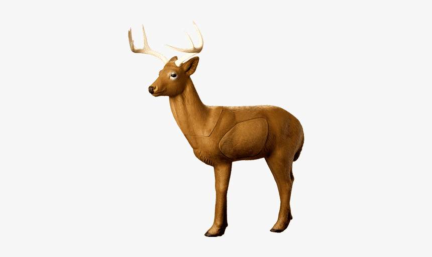 Rinehart Woodland Buck Png, Transparent Png, Free Download