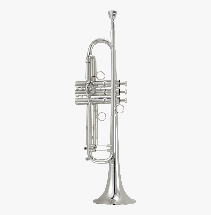 Trumpet, HD Png Download, Free Download