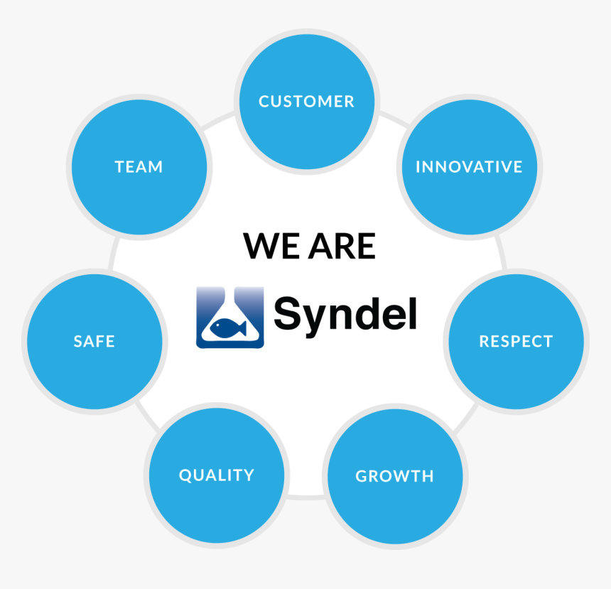 Syndel Values - Life Science Industry Sectors, HD Png Download, Free Download
