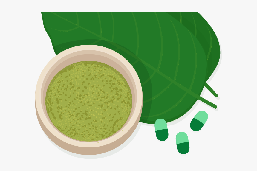 Kratom Png, Transparent Png, Free Download