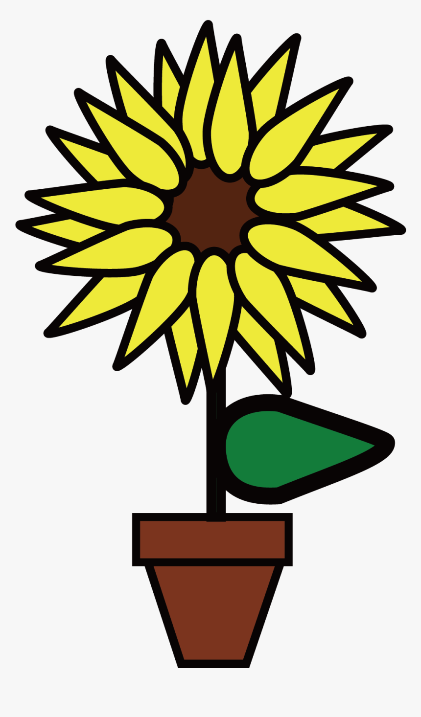 Common Sunflower, Flower, Drawing, Plant, Flora Png - Clip Art, Transparent Png, Free Download