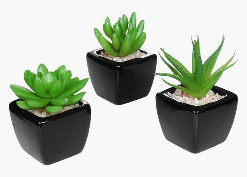 Set Of Modern Home Decor Mini Succulent - Small Artificial Plants, HD Png Download, Free Download