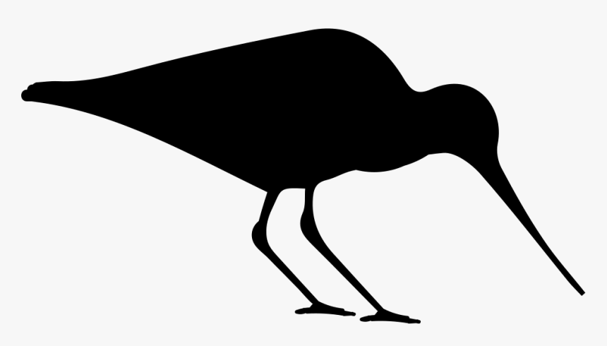 Stencil Clipart , Png Download - Shore Bird Silhouette, Transparent Png, Free Download