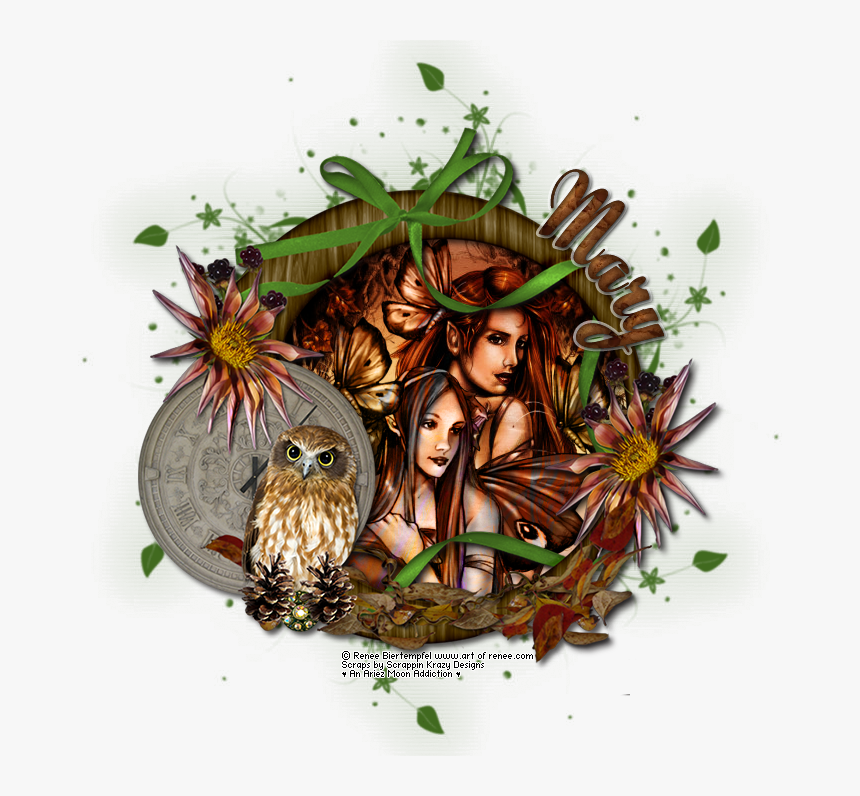 Ct Am Autumn Mist Cluster Frame Mary - New Zealand Owl, HD Png Download, Free Download