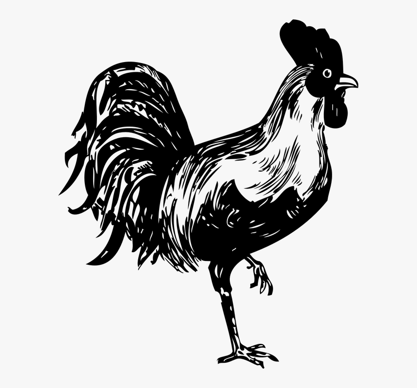 Thumb Image - Rooster Svg Free, HD Png Download, Free Download