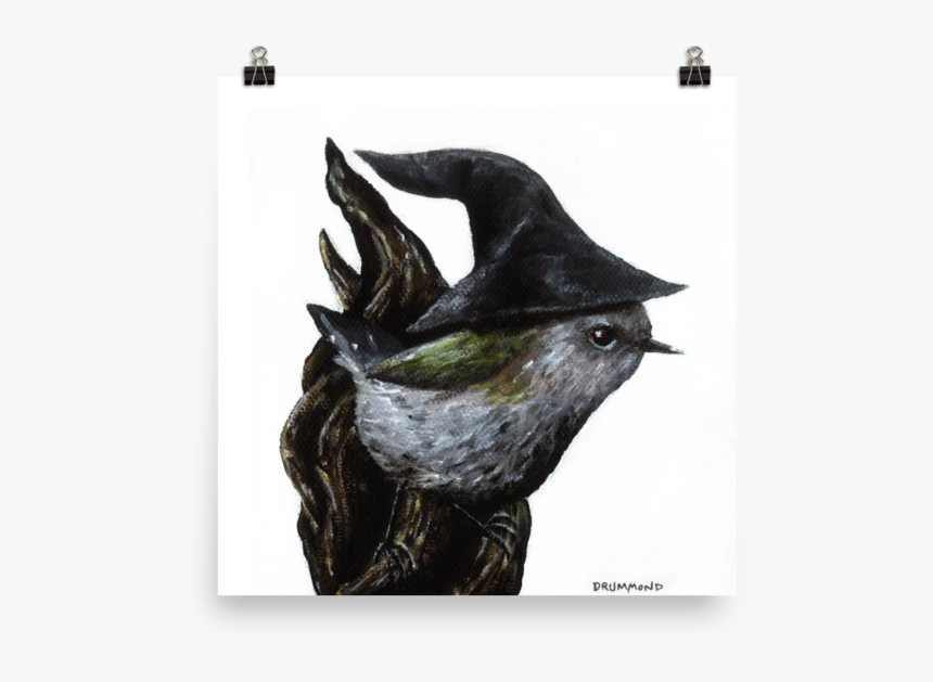 Purple Martin, HD Png Download, Free Download
