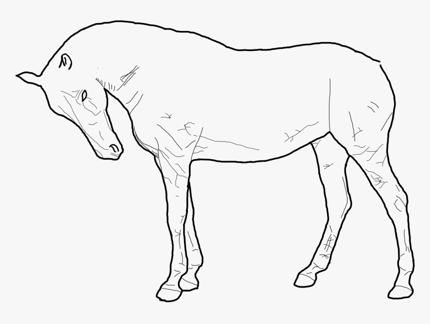 Standing Horse Outline Drawing - Standing Horse Drawing, HD Png Download, Free Download