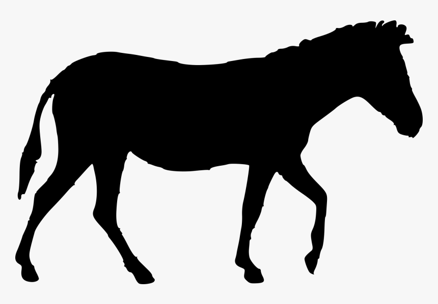 Dark Outline Of A Horse - Standing Silhouette Horse, HD Png Download, Free Download