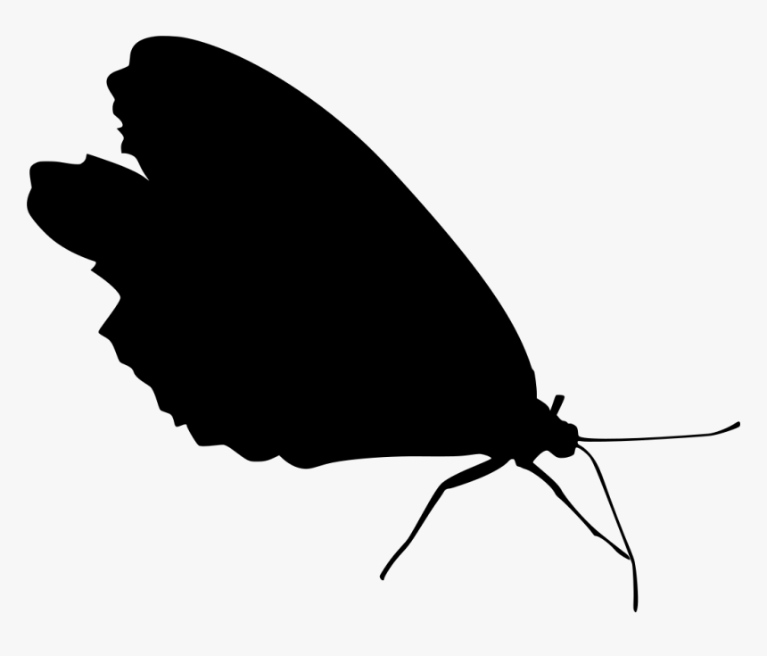 Transparent Bug Wings Png - Scalable Vector Graphics, Png Download, Free Download