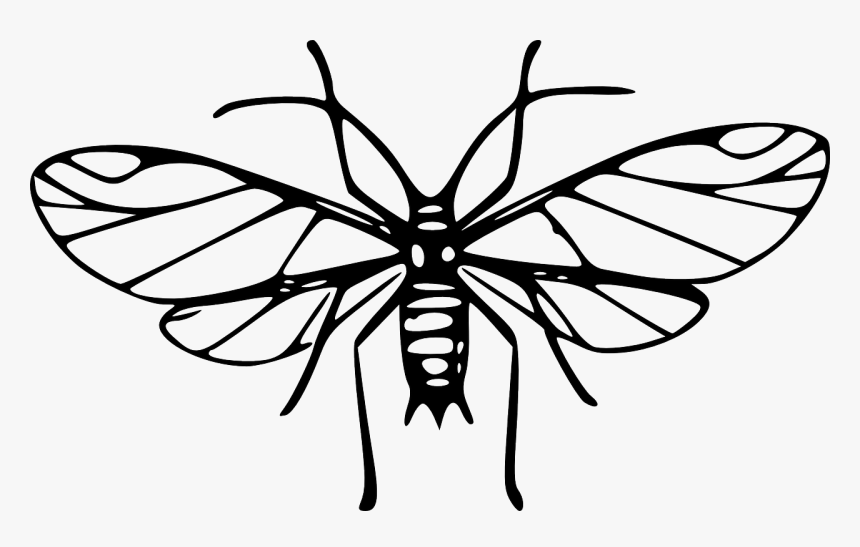 Mosquito Black And White Clipart Png, Transparent Png, Free Download