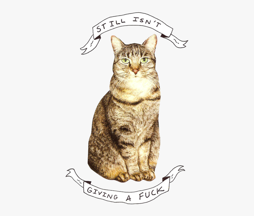 Indie Cat Illustration, HD Png Download, Free Download