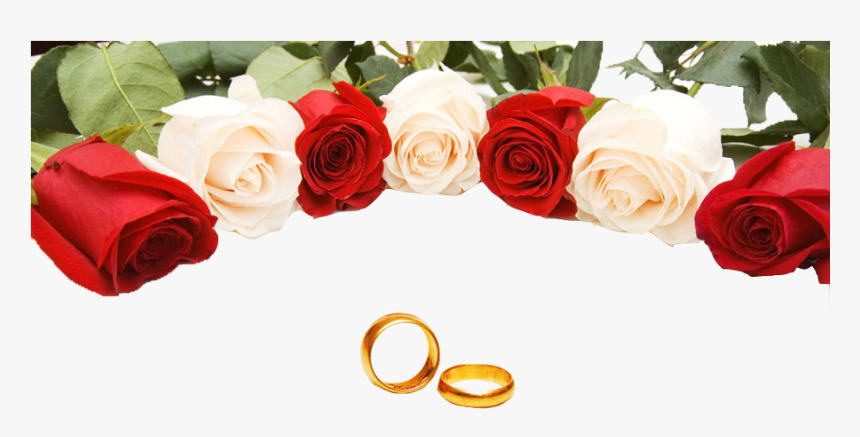Wedding Ring Rose Stock Photography - Wedding Roses, HD Png Download, Free Download