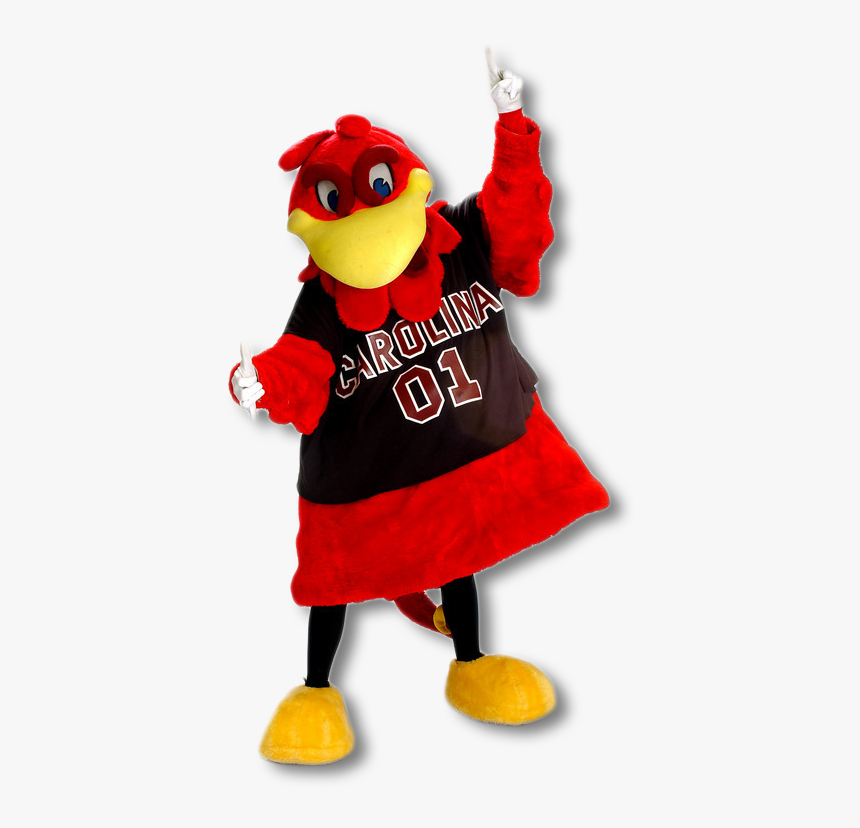 Usc Cocky, HD Png Download, Free Download