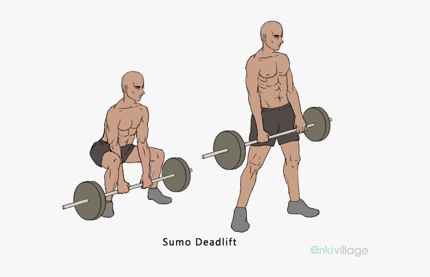 Sumo Deadlift Muscle Worked, HD Png Download kindpng