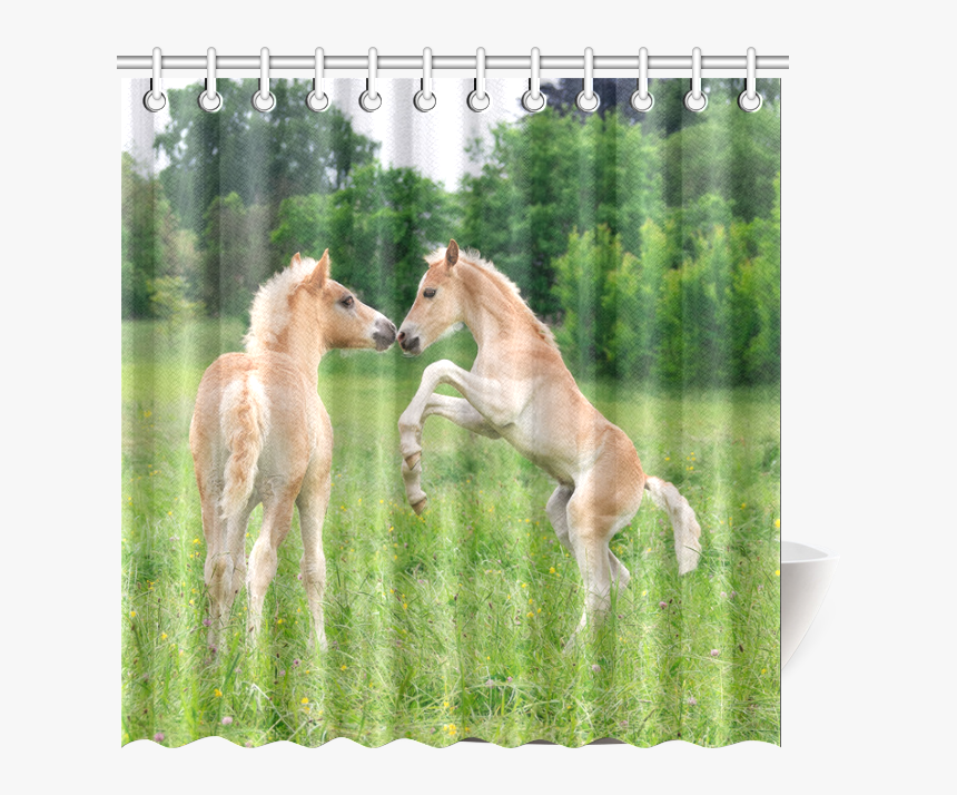 Haflinger Horses Cute Funny Pony Foals Playing Horse, HD Png Download, Free Download