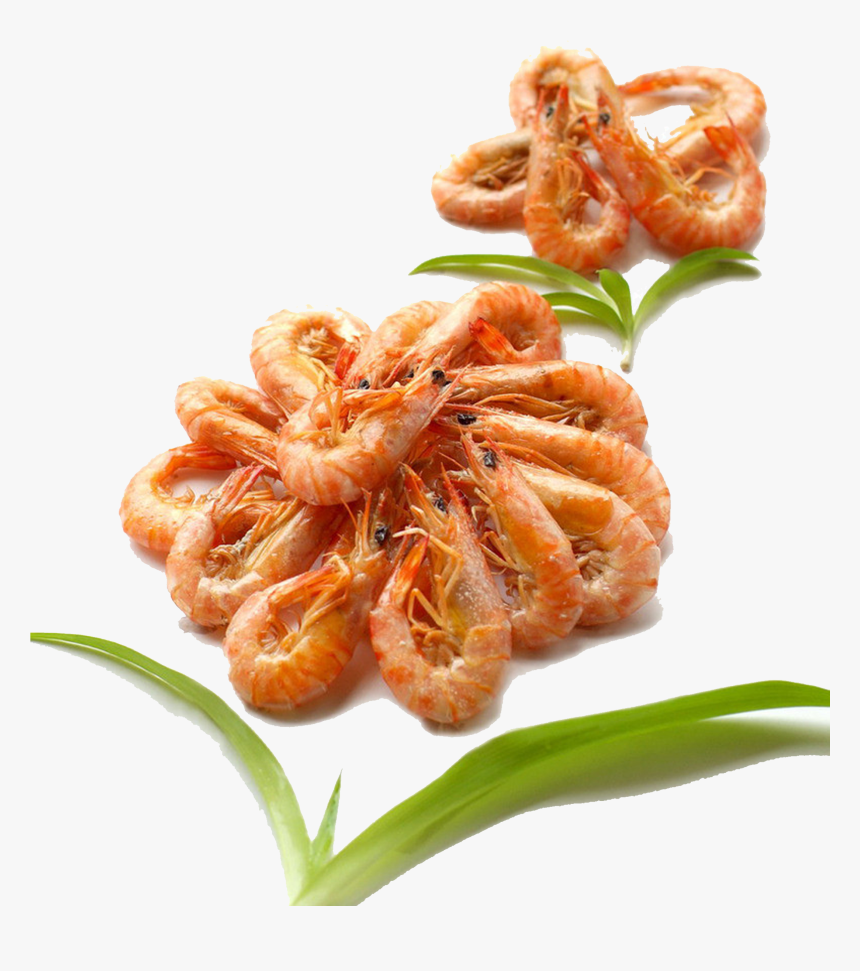 Grilled Shrimp Png - Shrimp And Prawn, Transparent Png, Free Download