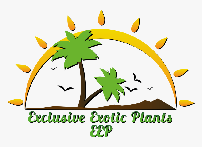 Clip Art, HD Png Download, Free Download