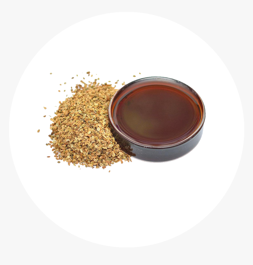 Cnidium Fruits Liquid Plasma Extract - Instant Coffee, HD Png Download, Free Download