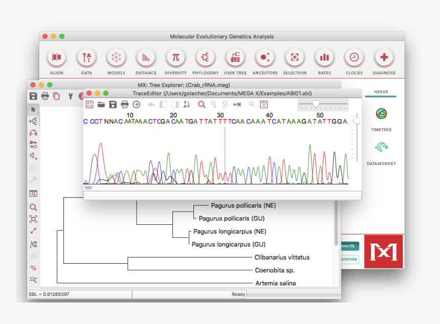 Screenshot, HD Png Download, Free Download
