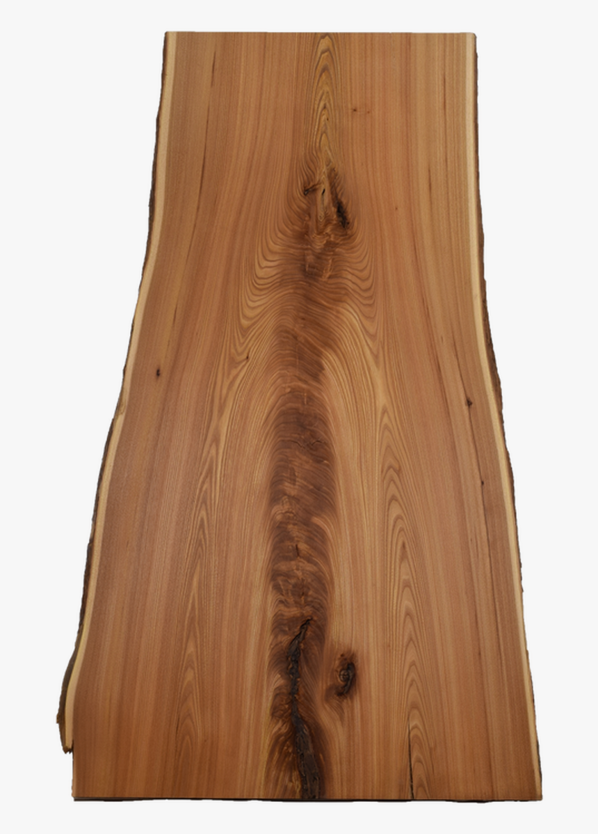 Back-side Of Elm Live Edge Slab - Plywood, HD Png Download, Free Download