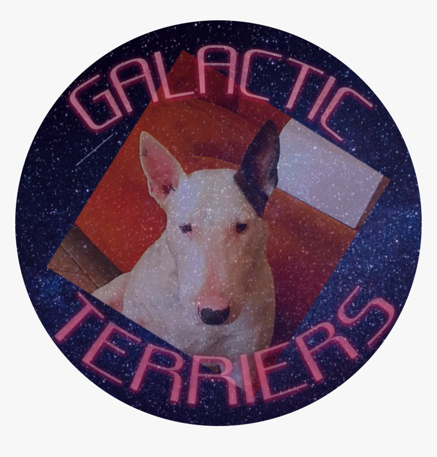 20190726 023738 - Bull Terrier (miniature), HD Png Download, Free Download