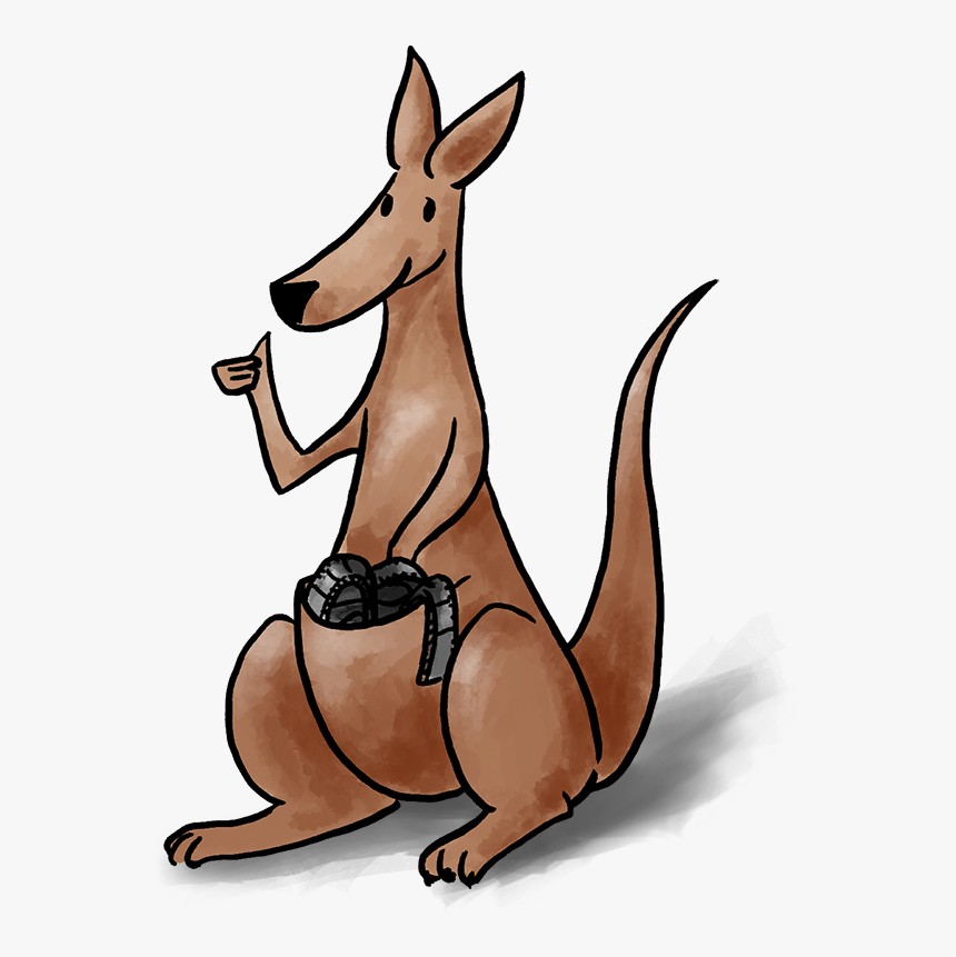 Kangaroo Clipart , Png Download - Kangaroo, Transparent Png, Free Download
