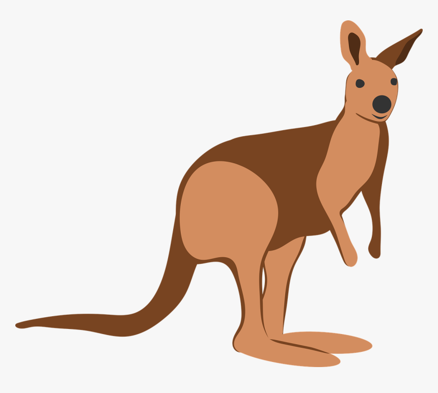 Kangaroo, HD Png Download, Free Download