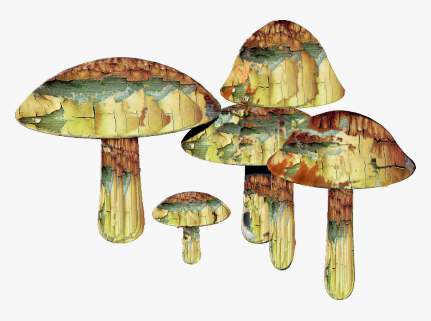 Magic Mushroom Png - Magic Mushrooms Transparent Background, Png Download, Free Download