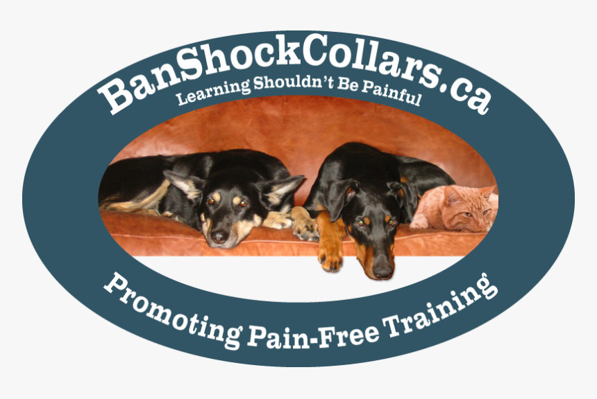 Pain Free Training - Companion Dog, HD Png Download, Free Download