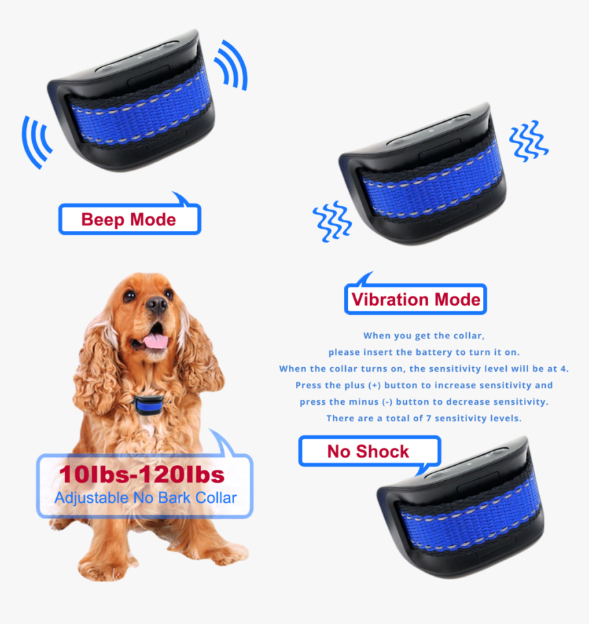 Double Tap To Zoom - Cocker Spaniel, HD Png Download, Free Download