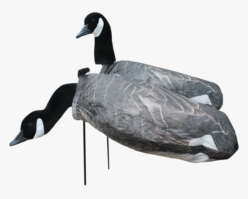 White Rock Canada Goose Flocked Head Windsock 12 Pack - Canada Goose, HD Png Download, Free Download