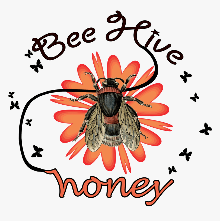 Transparent Vintage Beehive Clipart - Black-eyed Susan, HD Png Download, Free Download