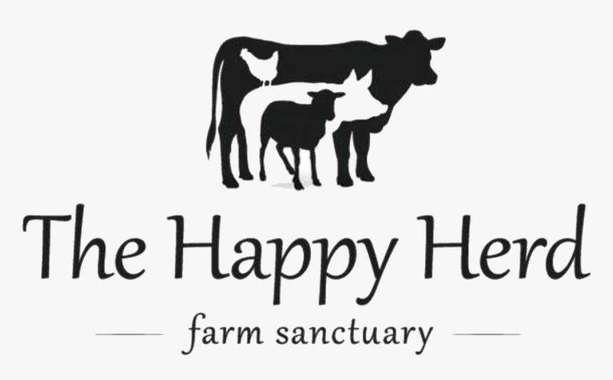 Farm Animal Sanctuary Black Baldy Livestock Goat - 12th Century, HD Png Download, Free Download