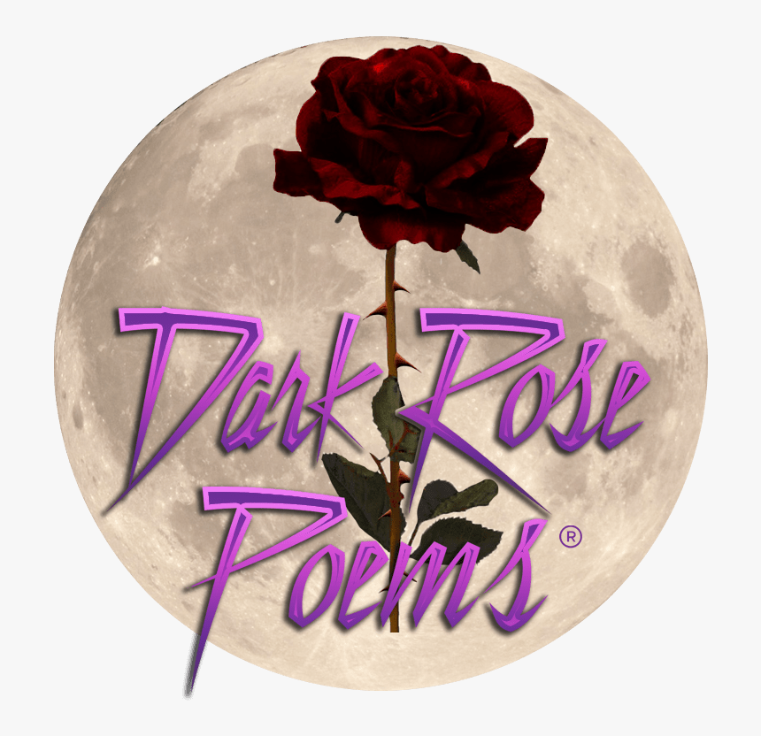 Dark Rose Poems - Roos Met Steel, HD Png Download, Free Download