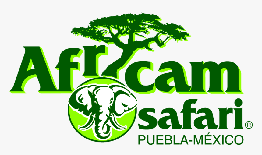 Africam Safari Puebla &187 Placer Y Negocios - Africam Safari, HD Png Download, Free Download