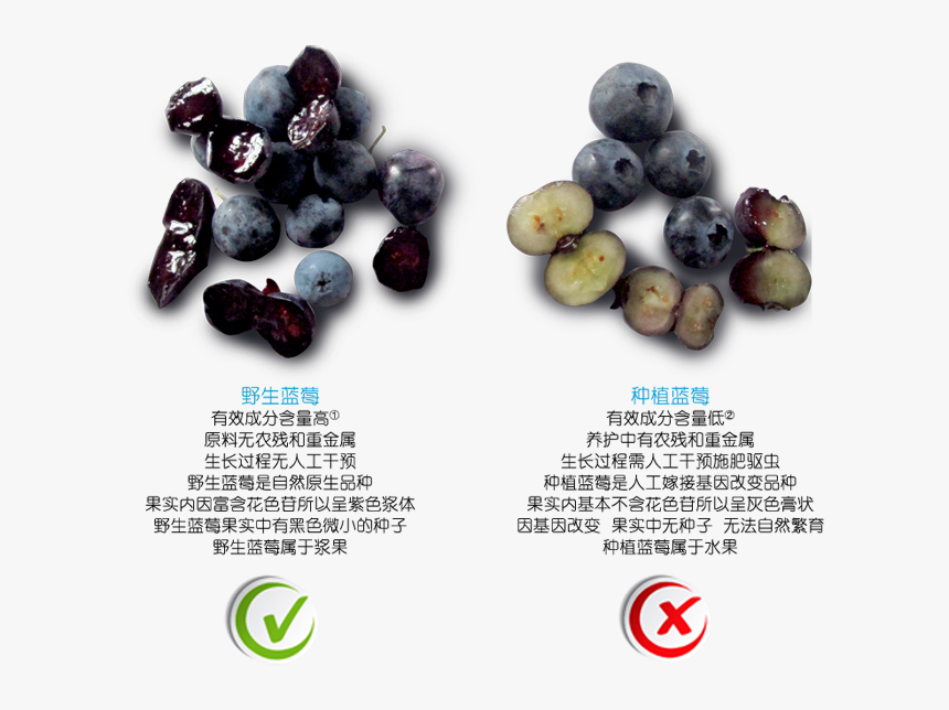 Transparent Meijiao Png - Seedless Fruit, Png Download, Free Download