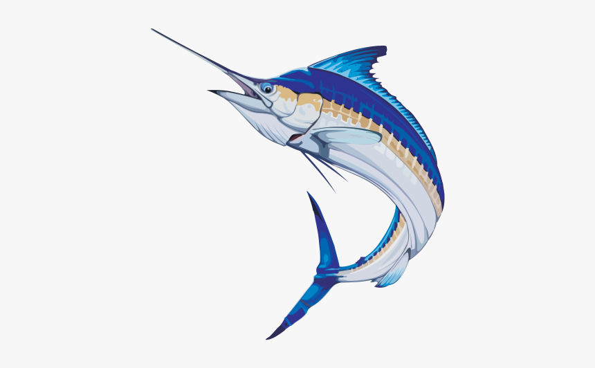 Sailfish Marlin - Atlantic Blue Marlin, HD Png Download, Free Download